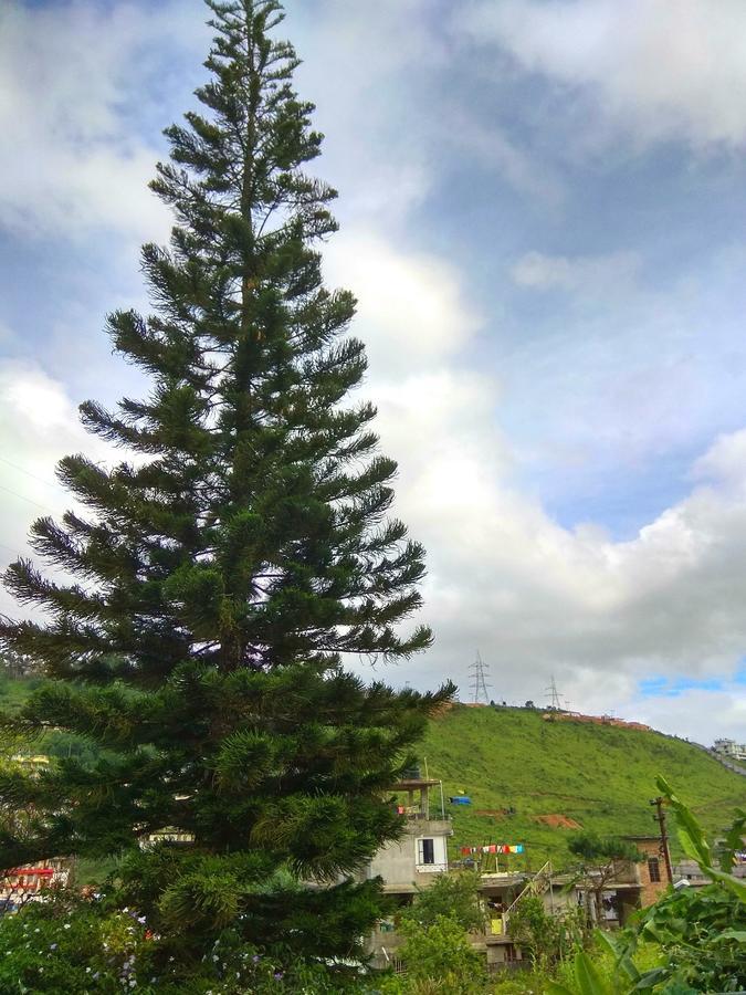 Latei Ville Inn Shillong Eksteriør billede